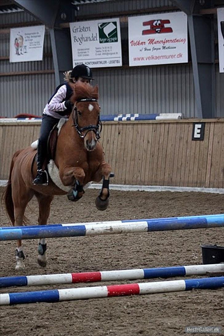 Anden særlig race Centrum solgt - Centrum og Eva :) i er super gode! billede 15