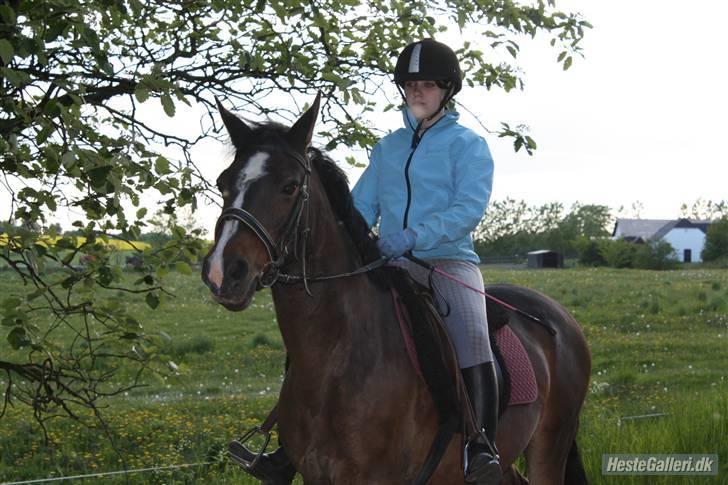 Anden særlig race Jonatan<3 (rideskole.pony) *himmelpony - mig og Jonatan ude og ride tur med alle de andre (: : foto af Marie billede 11