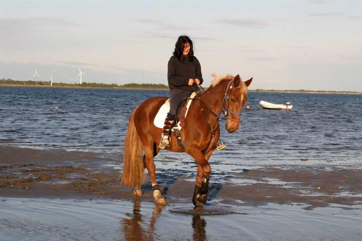 Traver Aka Lendalund billede 12