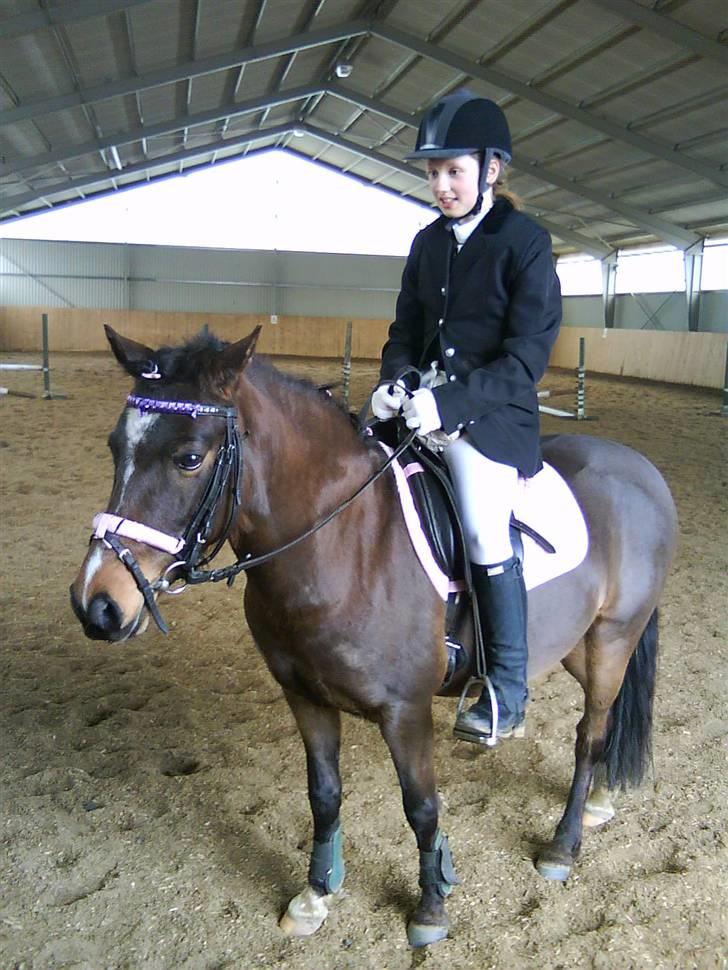 DSP Akita (susans) - Akita og mig til ministævne!! ved susan! vandt dressuren <33 billede 1