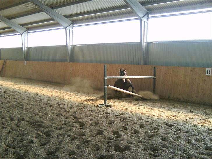 DSP Akita (susans) - nogen gange refusere man jo <33 billede 4