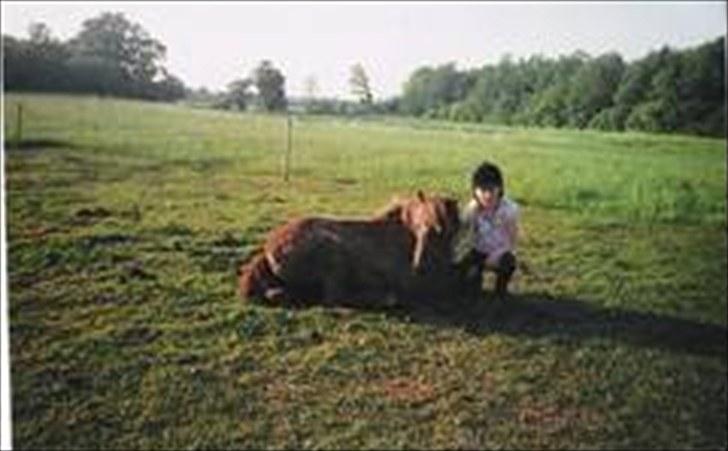 Anden særlig race Beauty - Jeg elsker dig af hele mit hjerte!!<3 billede 1