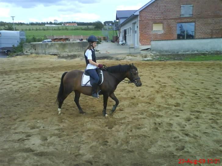 DSP Akita (susans) - Vi skidter lige af :D <3 billede 5