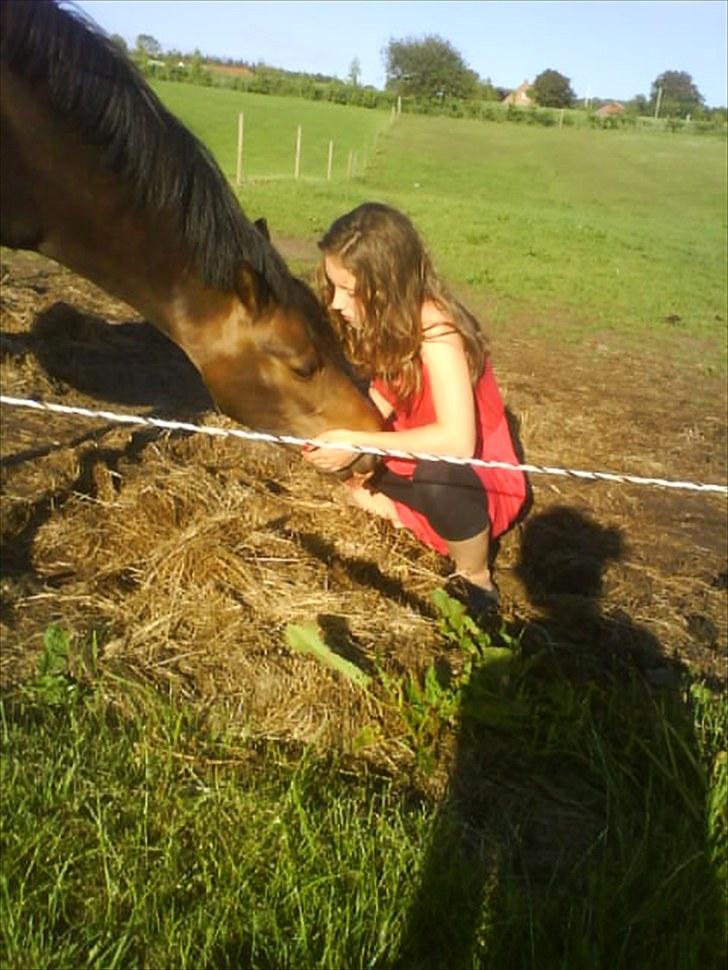 DSP Akita (susans) - love <3 billede 6