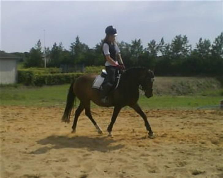 DSP Akita (susans) - Akita og mig!! <33 billede 11