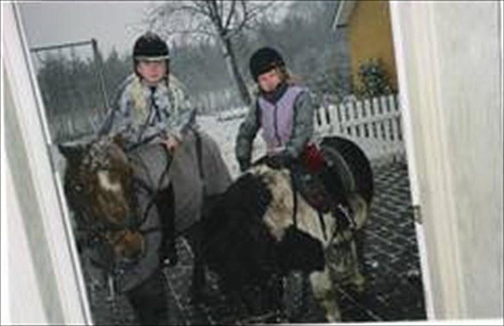 Anden særlig race Beauty - jeg elsker dig!!<3 billede 2