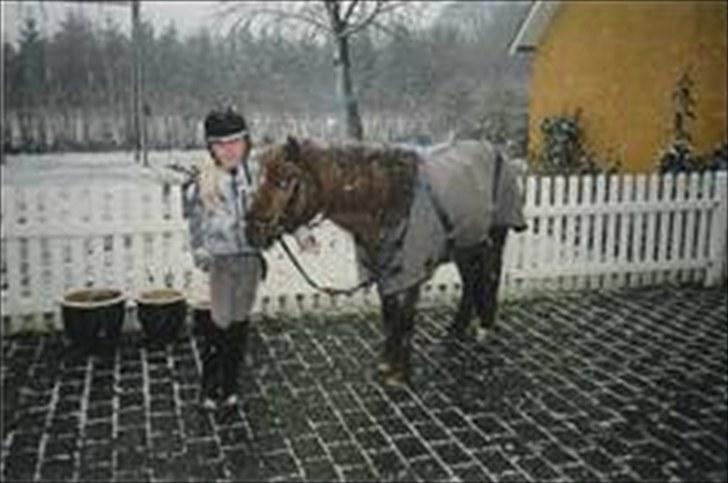 Anden særlig race Beauty - Jeg elsker dig!!<3 billede 4