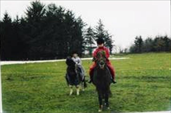 Anden særlig race Beauty - Jeg elsker dig!!<3 billede 6