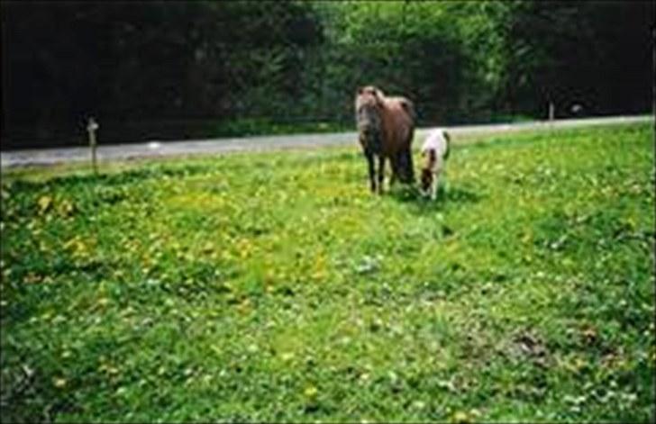 Anden særlig race Beauty - Jeg elsker dig!!<3 billede 8