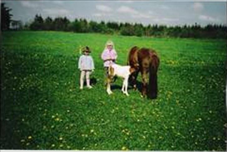 Anden særlig race Beauty - Jeg elsker dig!!<3 billede 9