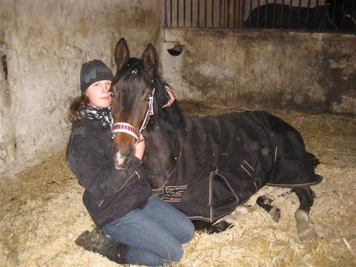 Dansk Varmblod A Romanze(Roma) - Roma og mig i boksen:D foto: mor;) billede 11