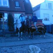 Traver Uwaga Skovfryd  (Preasure) SOLGT