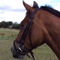 Anden særlig race Rosita ' R.I.P ' <3 :(