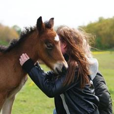 Islænder Hrókur fra Villa Thule