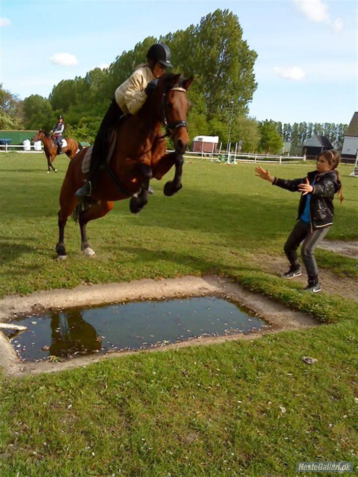 DSP Lille daugårds Tutsi - Fordi hun er bedst? ELsker dig tuts:* billede 15