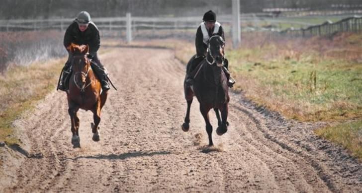 Fuldblod (XX) action time (Flyttet) billede 18