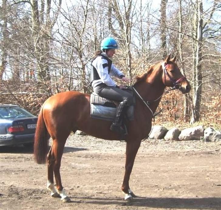 Fuldblod (XX) action time (Flyttet) billede 19