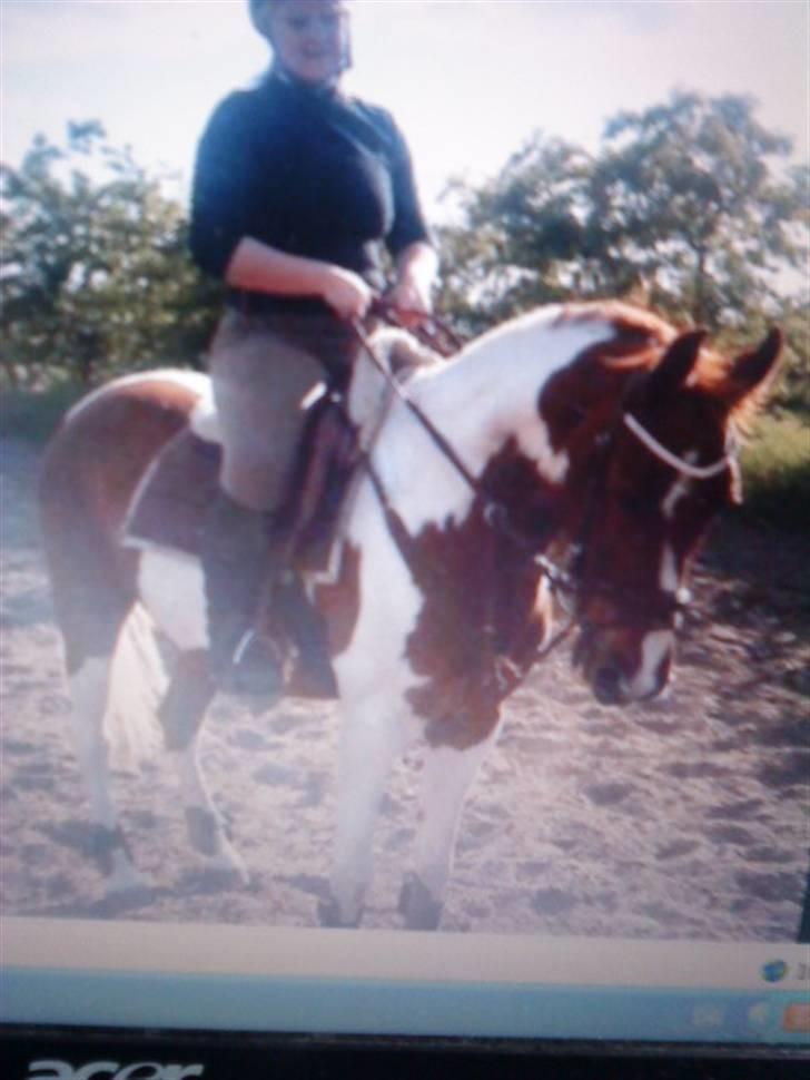 Anden særlig race Quick step<3 billede 2