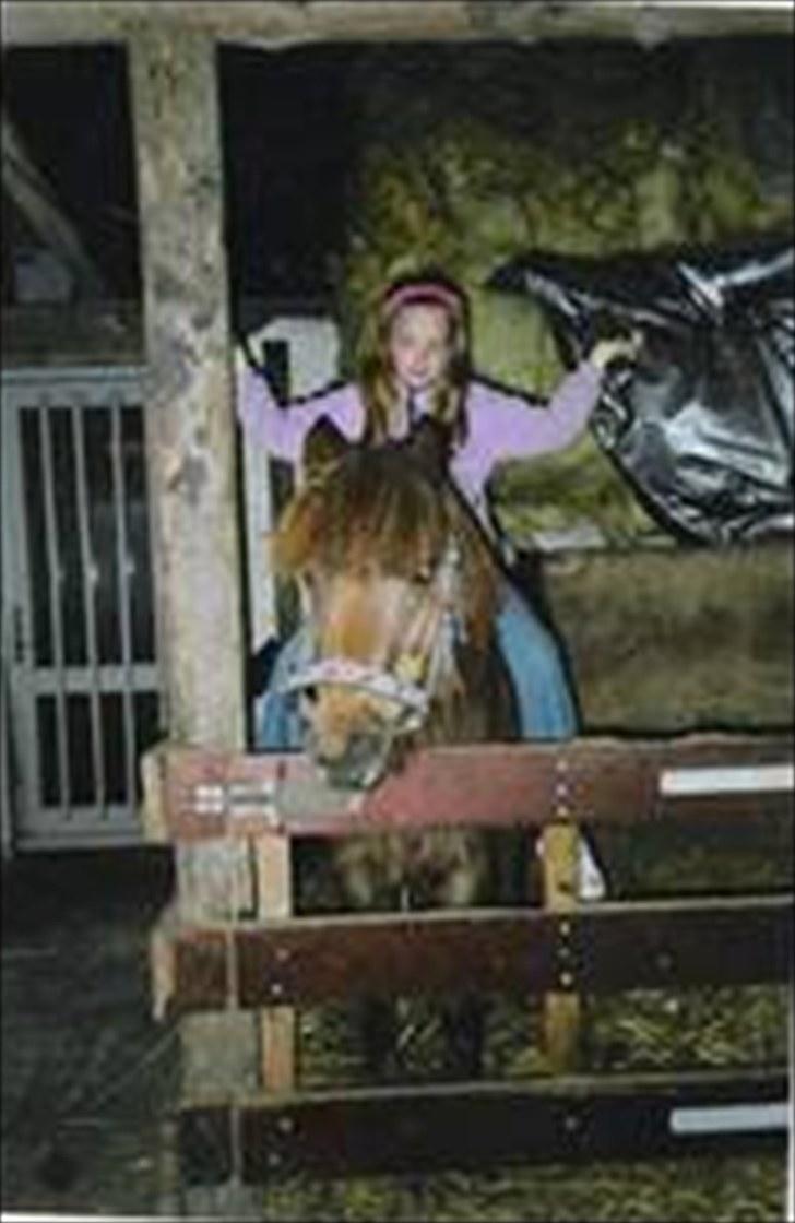 Anden særlig race Beauty - Marlene og Beauty<3 billede 12