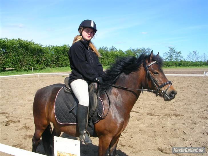 Anden særlig race R.I.P Flika :'(<3 - Mig og Flika billede 15