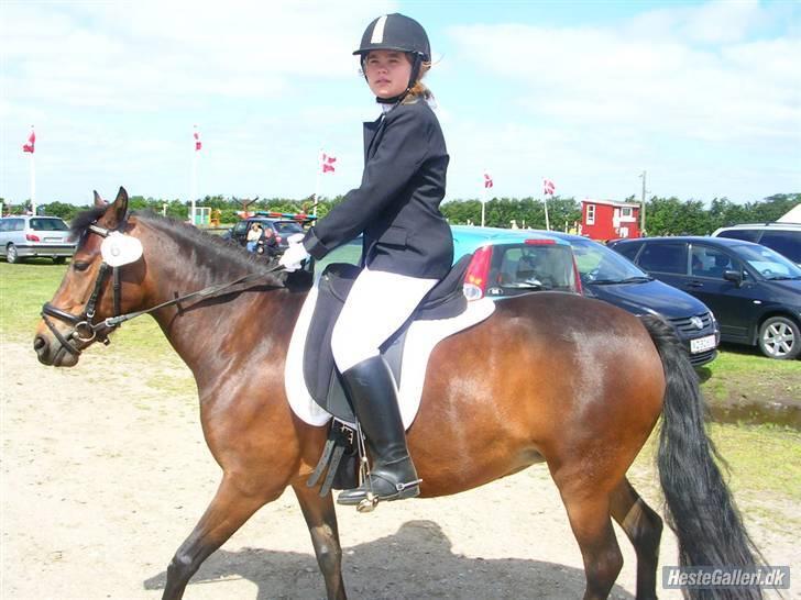 Anden særlig race R.I.P Flika :'(<3 - Til stævne  billede 16