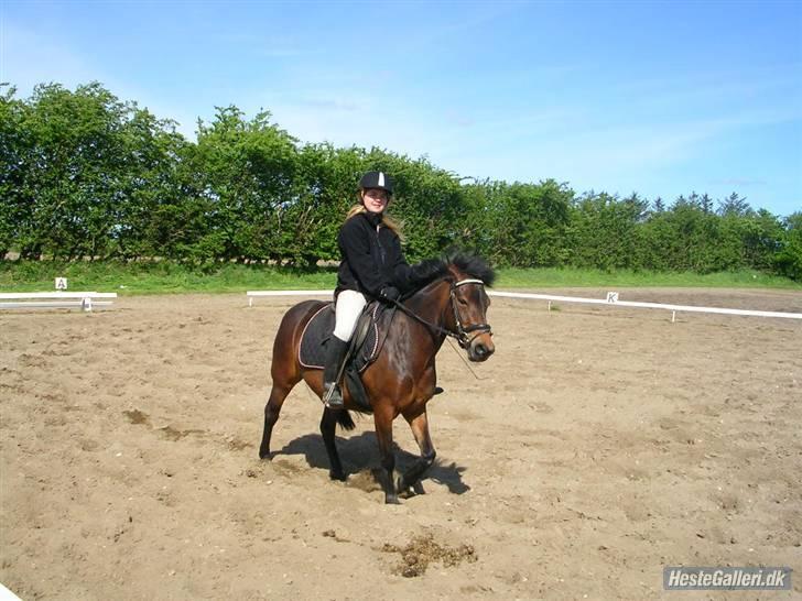 Anden særlig race R.I.P Flika :'(<3 - mig og smukke flika<3 billede 18