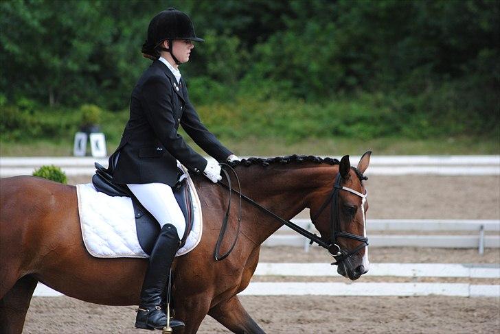 DSP Atina Kærlund - C-stævne i Frederikshavn billede 18