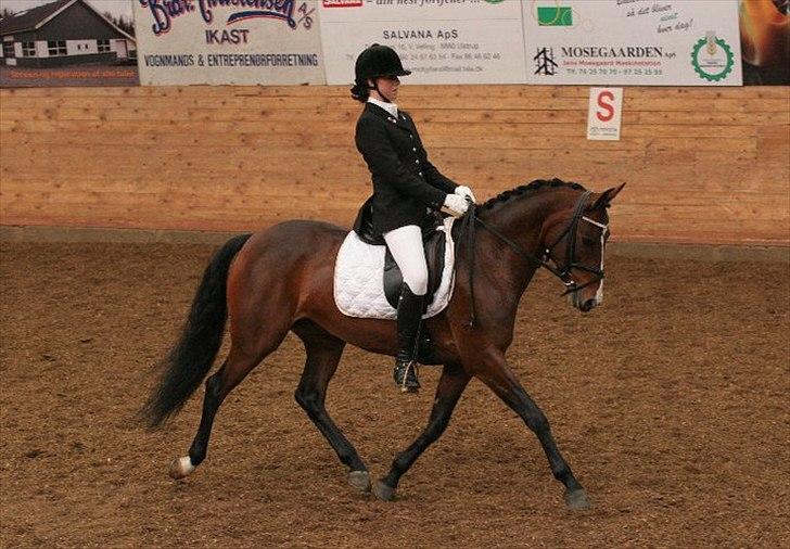 DSP Atina Kærlund - DSP championat finale i Ikast 2010 billede 20
