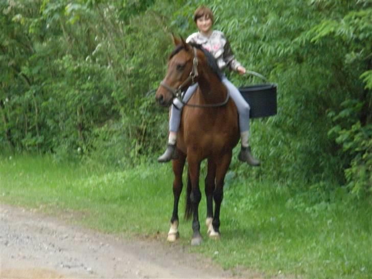 Anden særlig race Beauty - På vej op fra folden =) billede 4