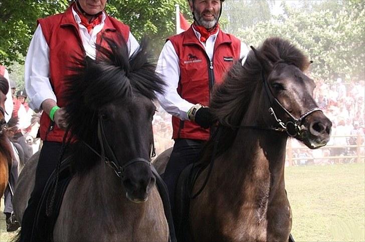 Islænder Snör fra Sauðhaga 2 - snör med i roskilde kvadrillien 2010 det er hende til højre (Jeanett Nørgaard har taget det) billede 15