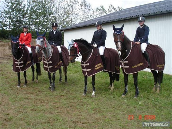 Dansk Varmblod Cavan :') Solgt - 1 plads til kommune mester skab. (mor og lisell. mia.Pernille og cavan. stineholm) billede 8