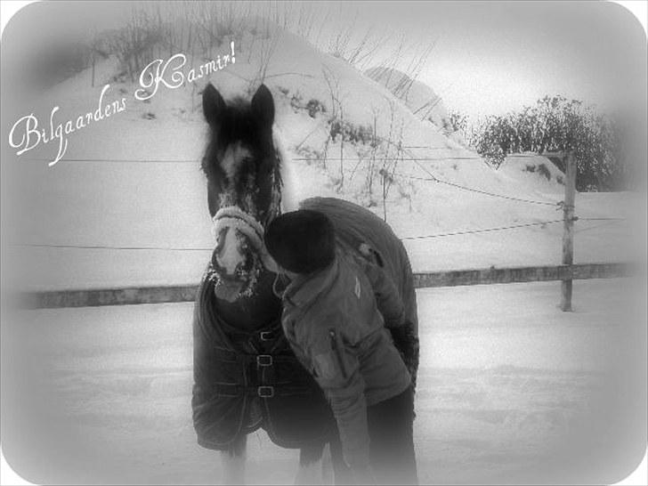 Anden særlig race Kasmir *SOLGT* - dig&mig - jeg vil aldrig glemme dig, du den bedste pony man kan tænke sig! kasmir? jeg elsker dig!!! /; billede 15