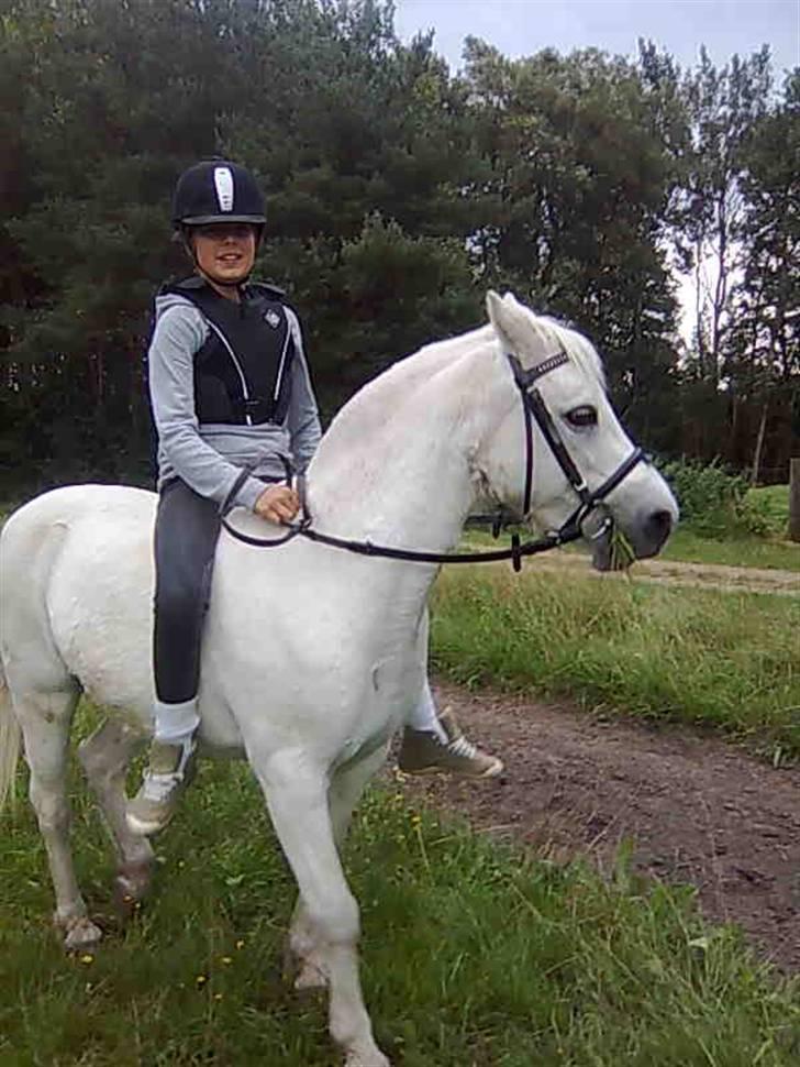 Anden særlig race Christelle billede 9