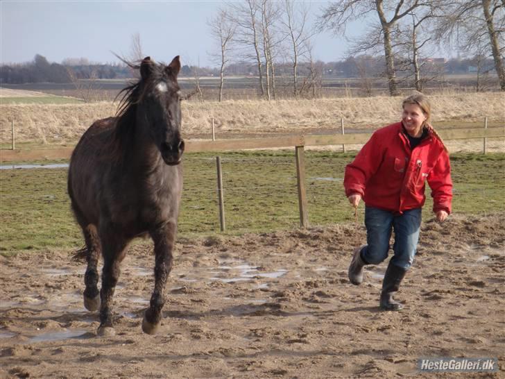 Anden særlig race Beauty R.I.P - Beauty og jeg på ridebanen, Forår 2010 billede 7