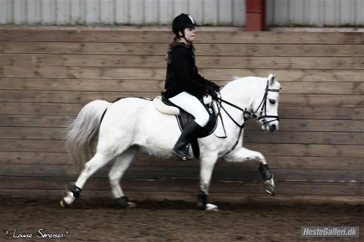 Anden særlig race Christelle billede 14