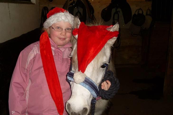 Anden særlig race Wendy solgt - Lige et lille jule billede billede 6