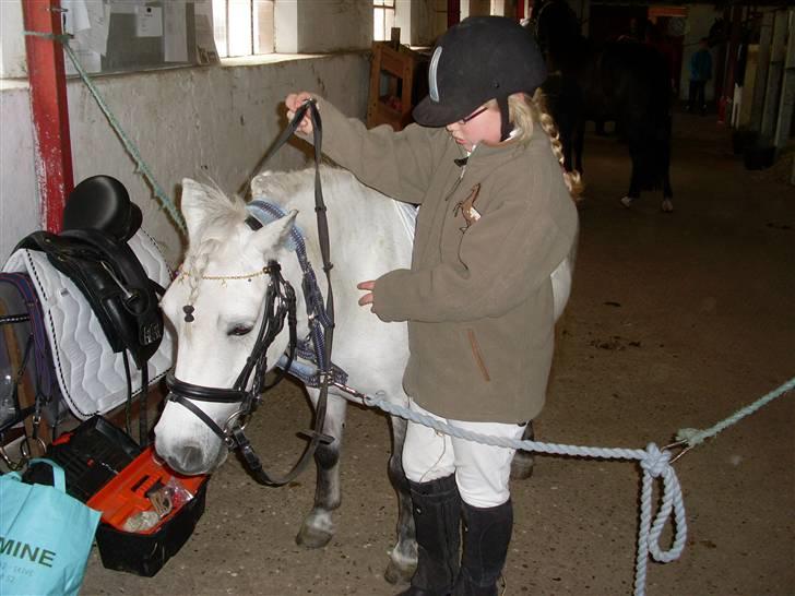 Anden særlig race Wendy solgt - Billede fra vores stævne billede 7
