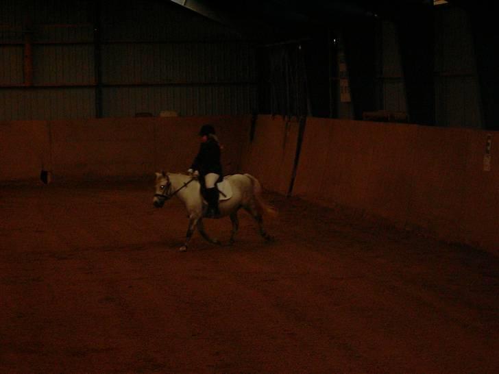 Anden særlig race Wendy solgt - Vi rider stævne nu (: billede 9