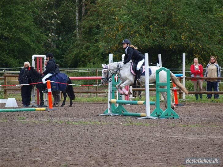 Hollandsk Sportspony .Spotty‹3 'Solgt!' :'( - 16// Mig og Musen i ællingespring 50 cm/ ULE (: IMS-foto, tak for billedet søde! 5 september 2009. Fordi at du var for fantastisk den dag, bare lidt fræk *-: billede 16