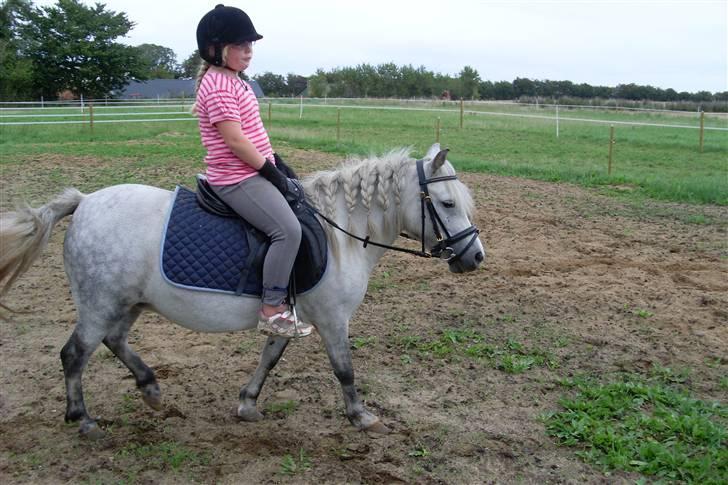 Anden særlig race Wendy solgt billede 12
