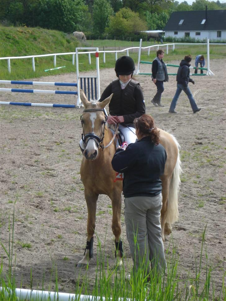 DSP Elvira Wales billede 15