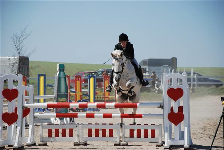 Connemara Zero To Hero billede 6