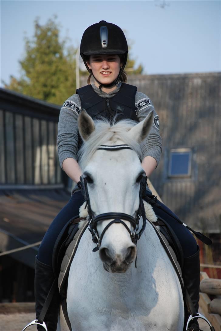 Connemara Zero To Hero billede 7