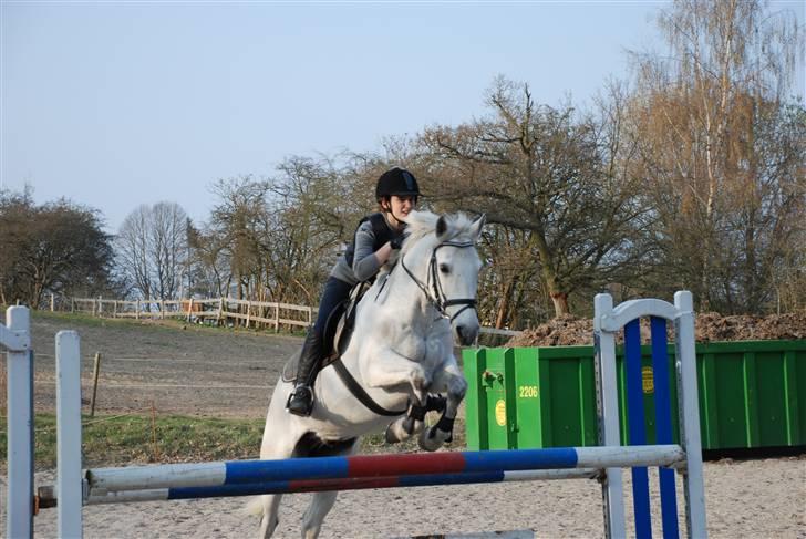 Connemara Zero To Hero billede 8