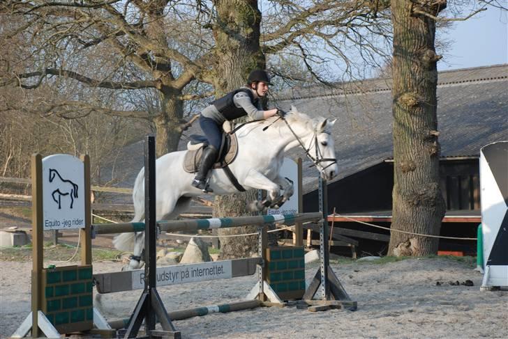 Connemara Zero To Hero billede 9