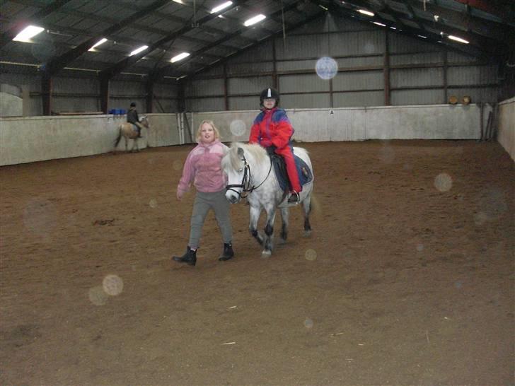 Anden særlig race Wendy solgt billede 15