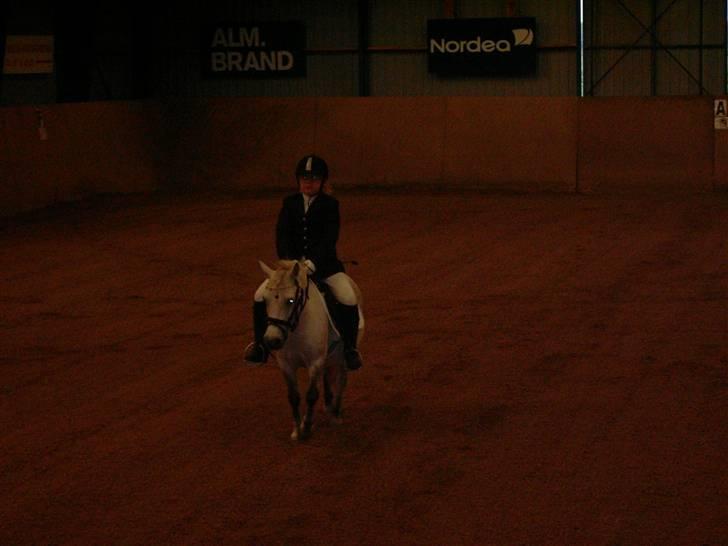 Anden særlig race Wendy solgt billede 17