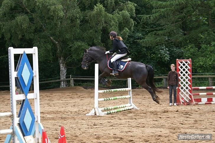 Appaloosa Kongshøjs Apollo - Spring i Ebeltoft rideklub 2010 billede 3