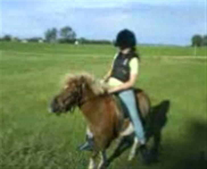 Anden særlig race Osvald (opr. af passer) - Jeg rider på Osvald........ billede 20