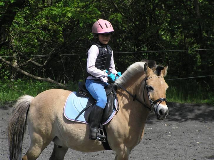 Anden særlig race Bounty *solgt* :( billede 6